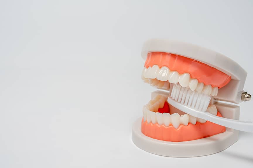 Image of Toothbrush and Denture